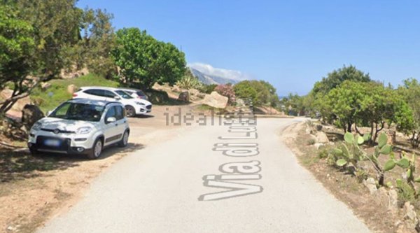 esavano in vendita a Luogosanto