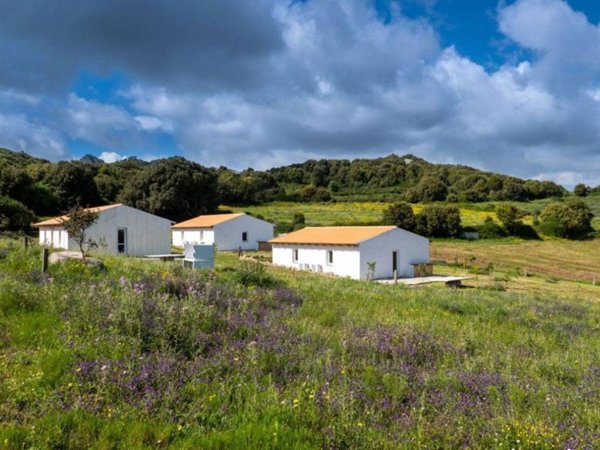 casa indipendente in vendita a Luogosanto