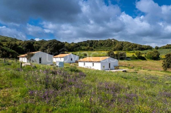 casa indipendente in vendita a Luogosanto