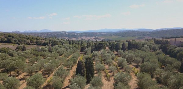 appartamento in vendita a Luogosanto