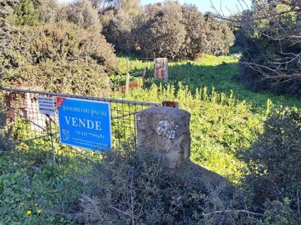 terreno agricolo in vendita a Luogosanto