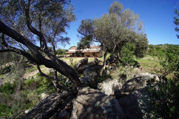 casa indipendente in vendita a Luogosanto