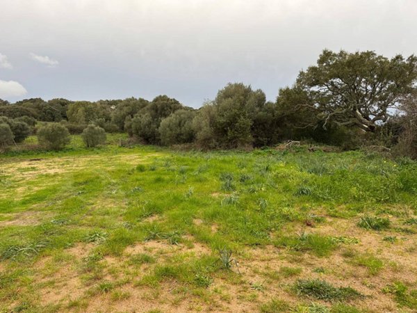 terreno edificabile in vendita a Luogosanto