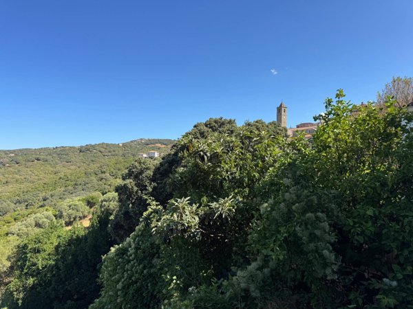 casa indipendente in vendita a Luogosanto