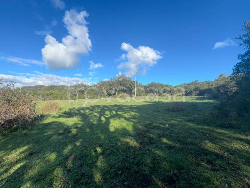 casa indipendente in vendita a Luogosanto