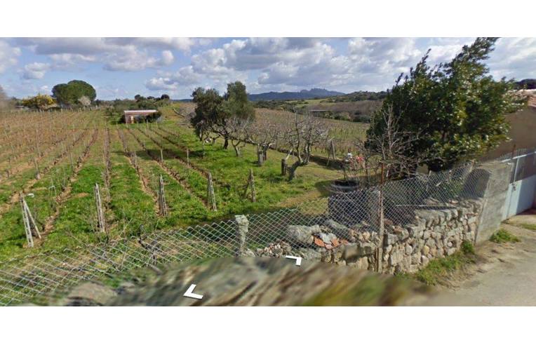 casa indipendente in vendita a Luogosanto