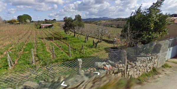 casa indipendente in vendita a Luogosanto