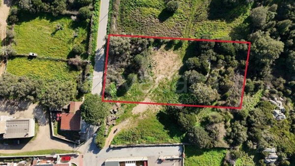 appartamento in vendita a Luogosanto