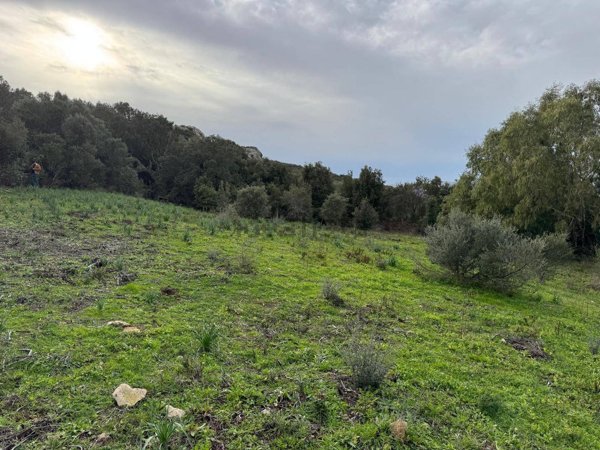 terreno edificabile in vendita a Luogosanto