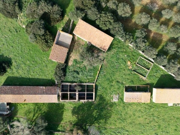 casa indipendente in vendita a Luogosanto