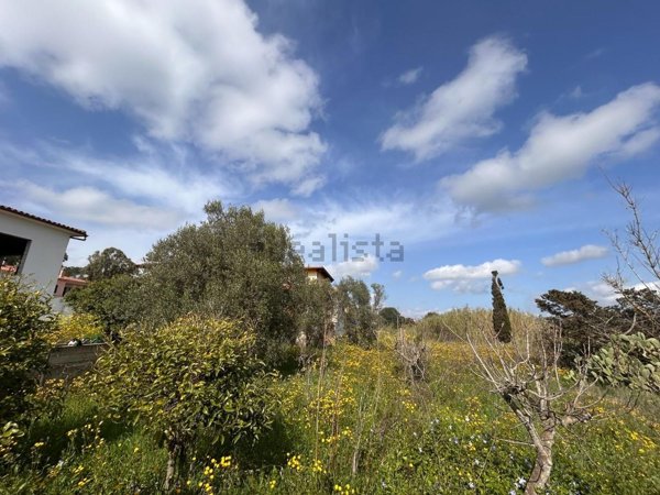 immagine annuncio 0 di 1