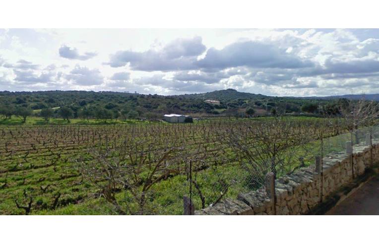 casa indipendente in vendita a Luogosanto