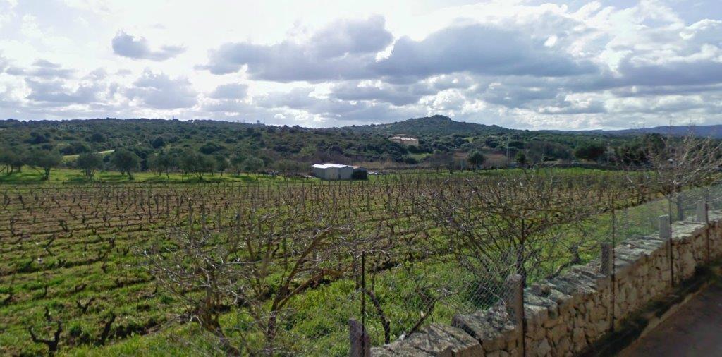 casa indipendente in vendita a Luogosanto