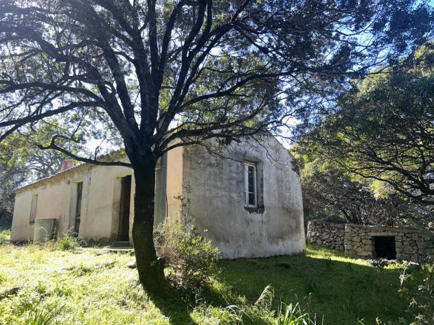 casa indipendente in vendita a Luogosanto