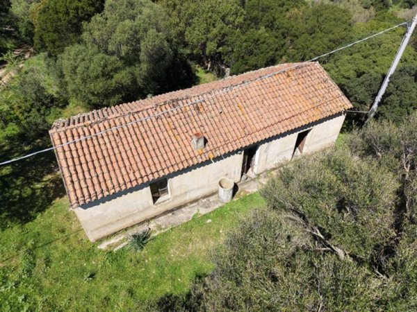 casa indipendente in vendita a Luogosanto