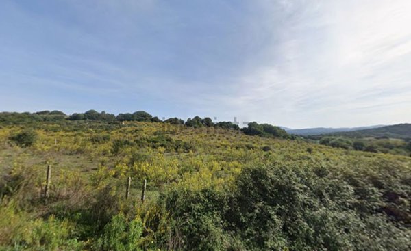 casa indipendente in vendita a Luogosanto