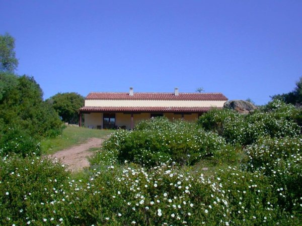 casa indipendente in vendita a Luogosanto