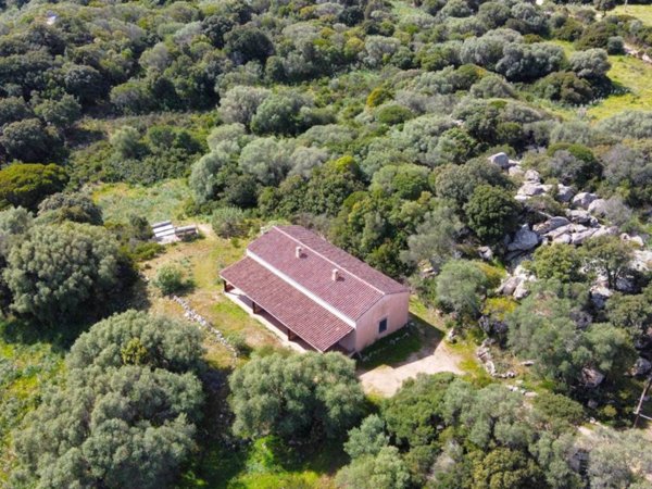 casa indipendente in vendita a Luogosanto