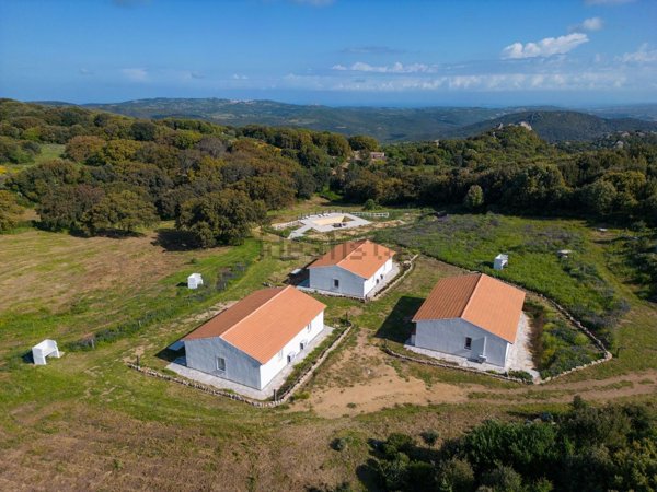 casale in vendita a Luogosanto