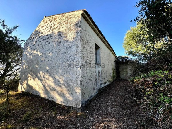 casa indipendente in vendita a Luogosanto