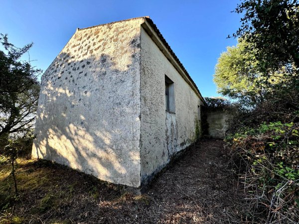 casa indipendente in vendita a Luogosanto