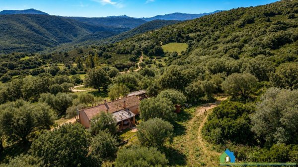 esavano in vendita a Luogosanto