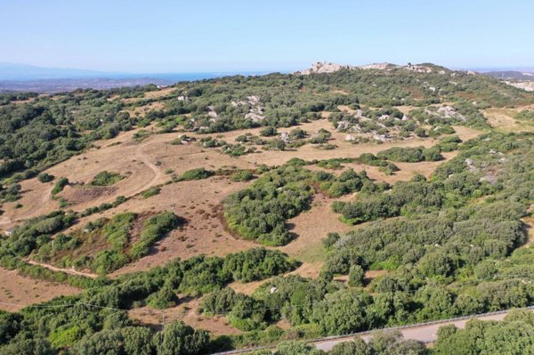 azienda agricola in vendita a Luogosanto