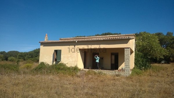 pentavano in vendita a Luogosanto