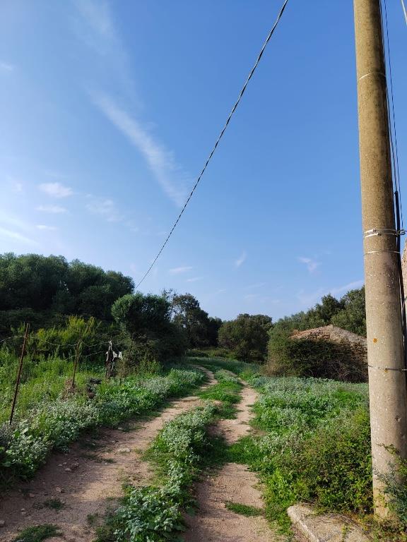 casa indipendente in vendita a Luogosanto