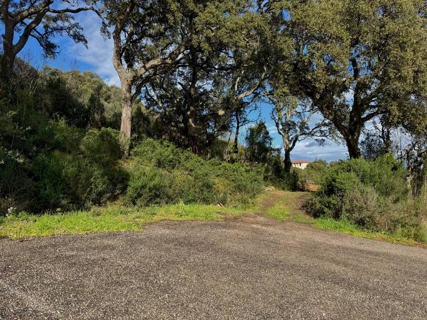 terreno agricolo in vendita a Luogosanto