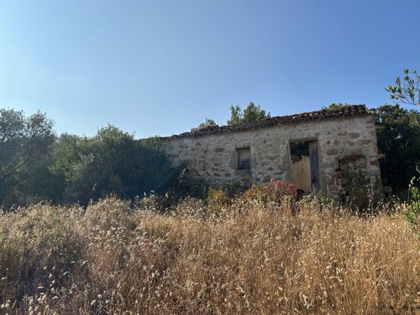 casa indipendente in vendita a Luogosanto
