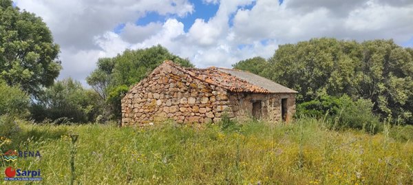 casale in vendita a Luogosanto