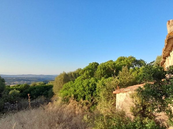 terreno in vendita a Luogosanto
