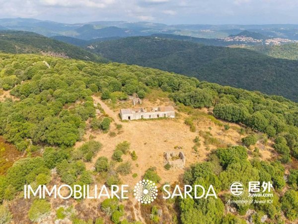 terreno in vendita a Luogosanto