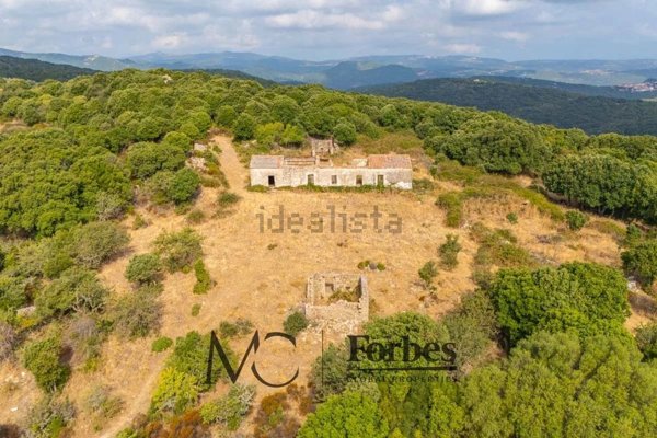 terreno in vendita a Luogosanto