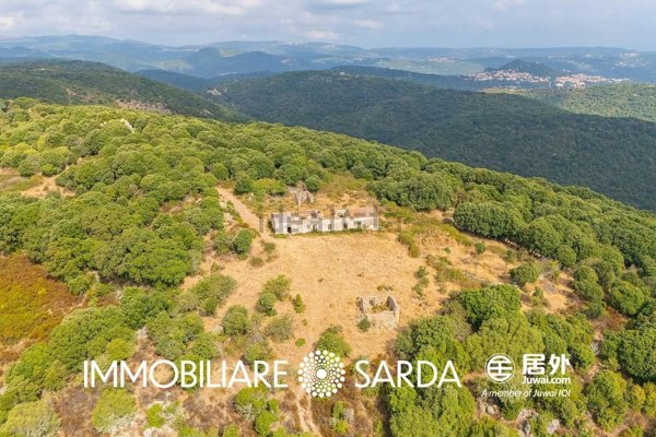 terreno in vendita a Luogosanto