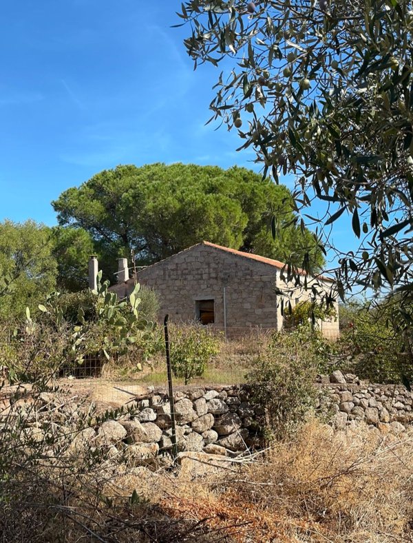 casale in vendita a Luogosanto