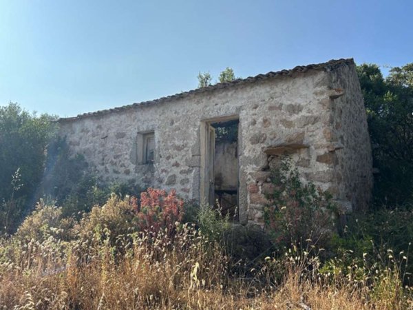 casa indipendente in vendita a Luogosanto
