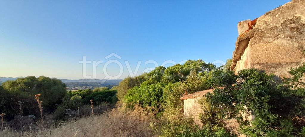 terreno in vendita a Luogosanto