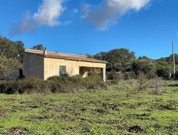 terreno agricolo in vendita a Luogosanto