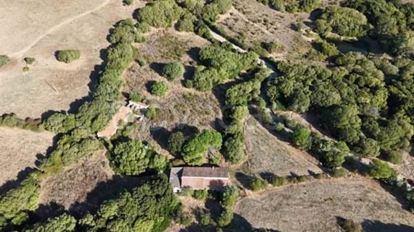casa indipendente in vendita a Luogosanto