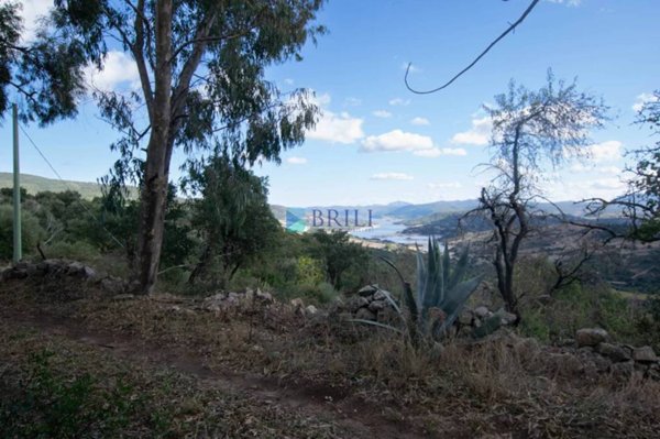terreno agricolo in vendita a Luras