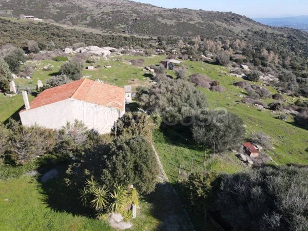 rudere in vendita a Luras