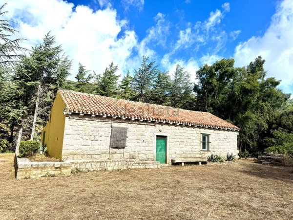 quadrivano in vendita a Luras