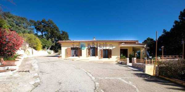 casa indipendente in vendita a Luras