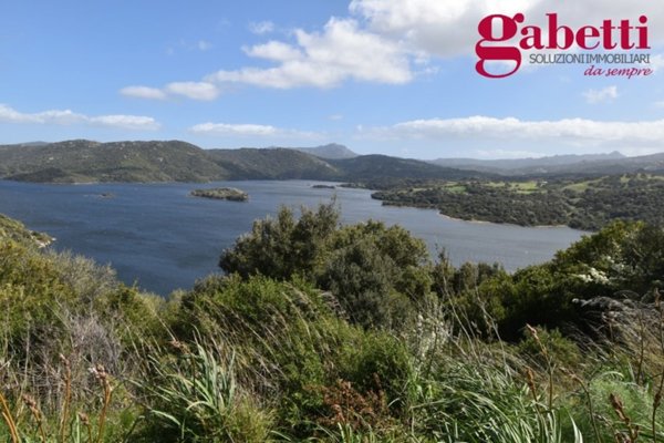 terreno agricolo in vendita a Luras