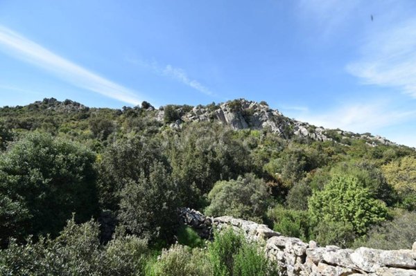 terreno agricolo in vendita a Monti