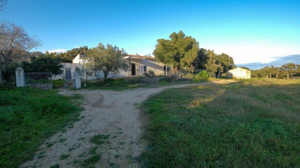 casa indipendente in vendita a Monti