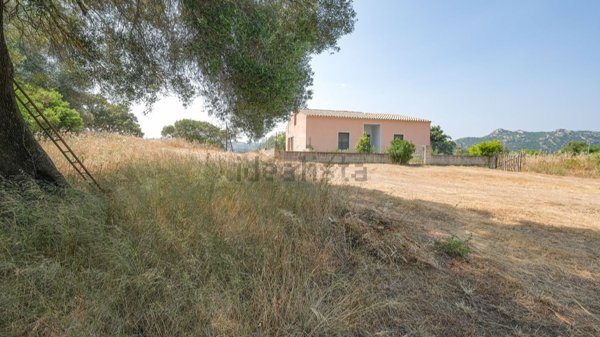 casa indipendente in vendita a Monti