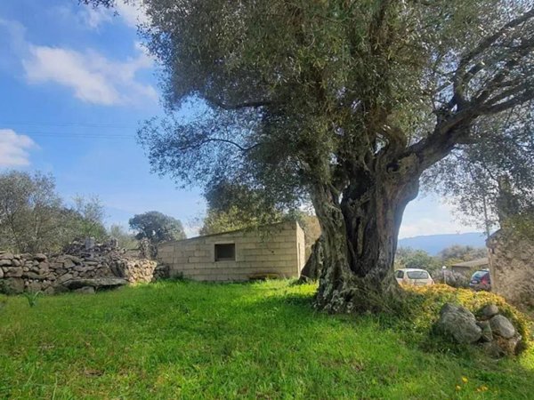 quadrivano in vendita a Monti